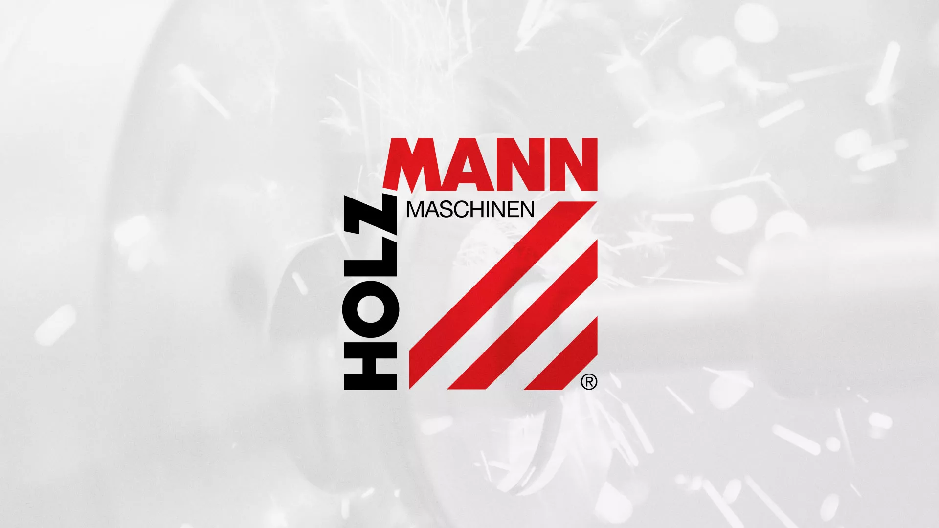 Создание сайта компании «HOLZMANN Maschinen GmbH» в Ливнах